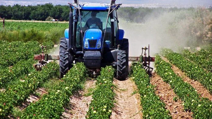 agrotes