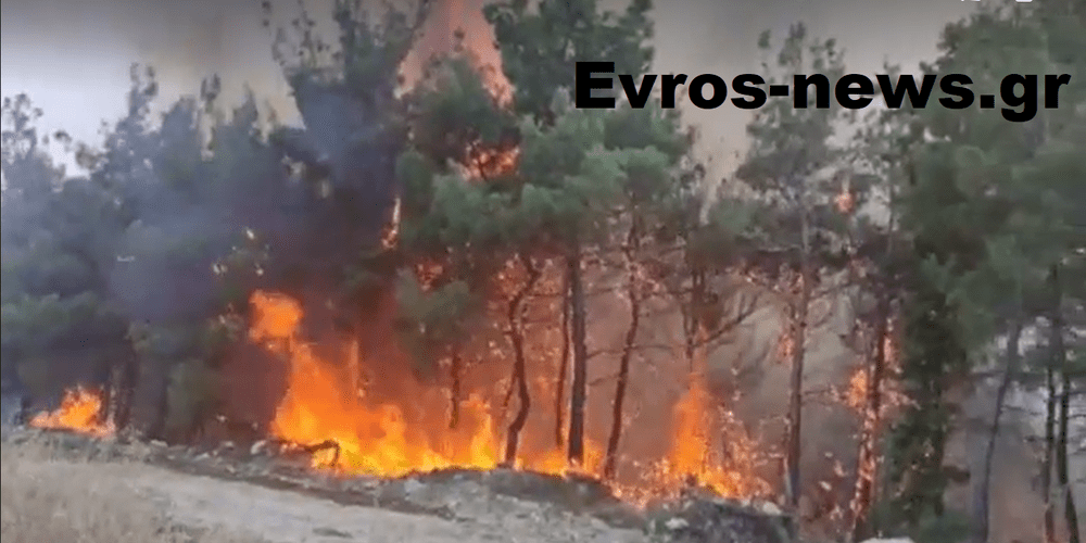 evros fotia