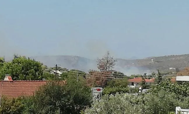 fotia koropi