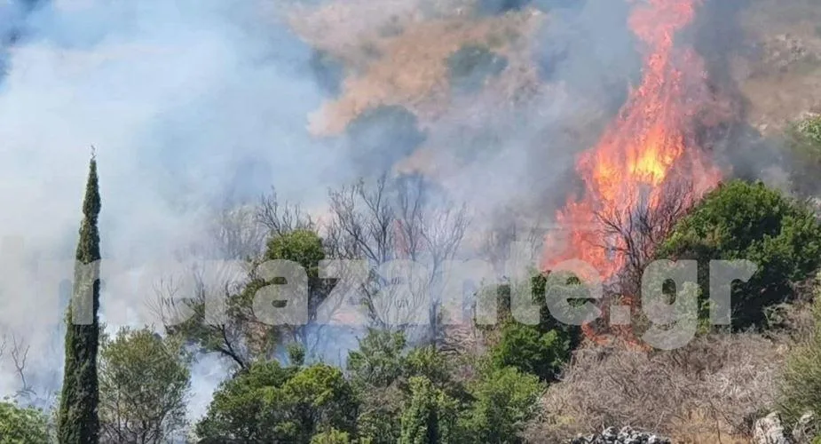 zakinthos pyrkagia