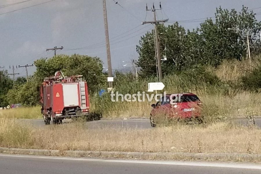 fotia lagadas e1690732687796.jpg