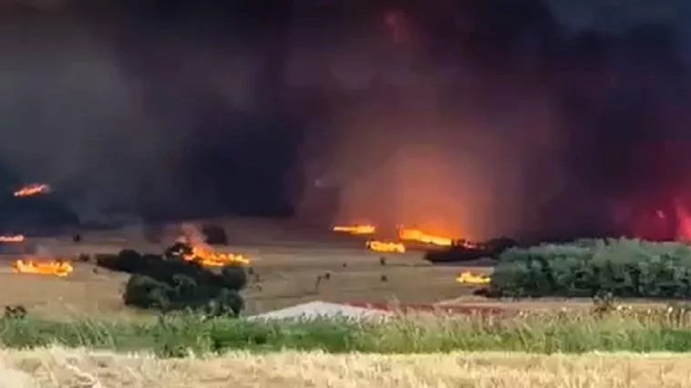 Evros 2 1 3.jpg